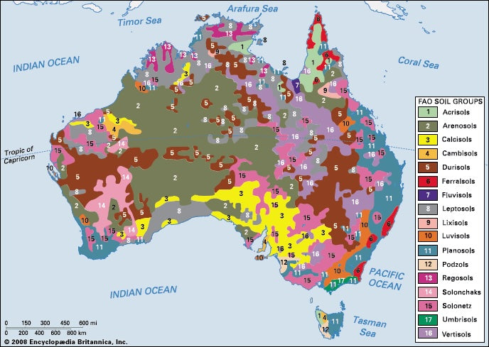 How FUTURE SOIL Makes the Desert Green Part 2