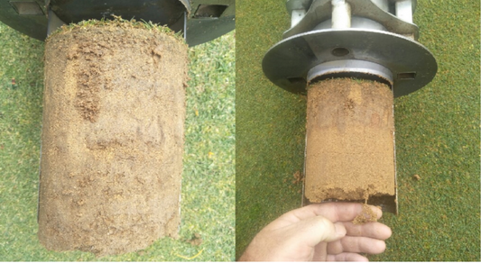 Unlock a New Mechanism for Water Control and Soil Regeneration