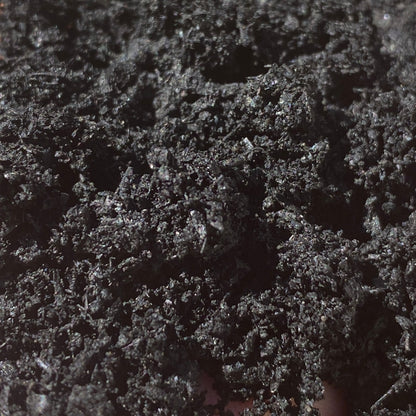 BIOCARBON - Premium Biochar (Engineered Carbon for Soil)