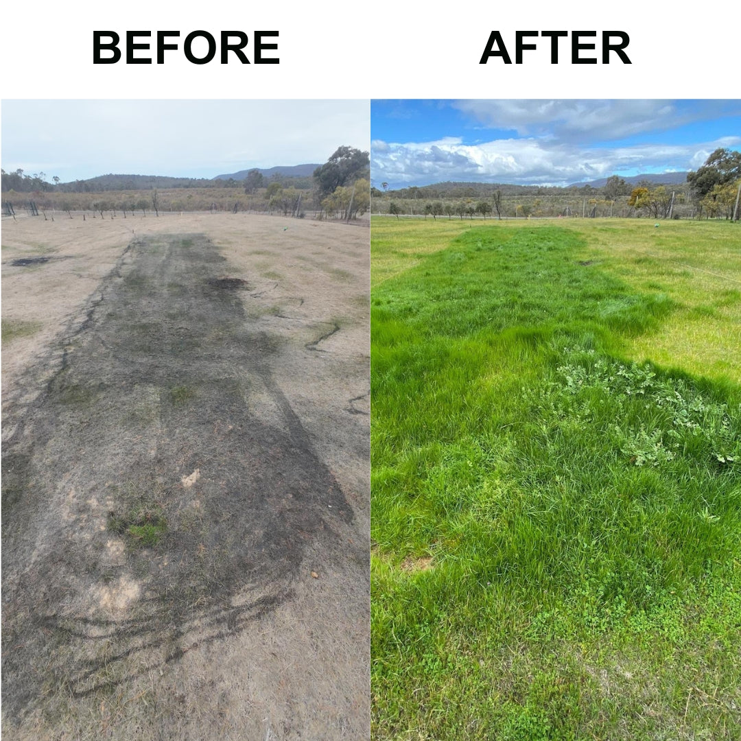 PRO LIQUID BIOCHAR - soil carbon upgrade