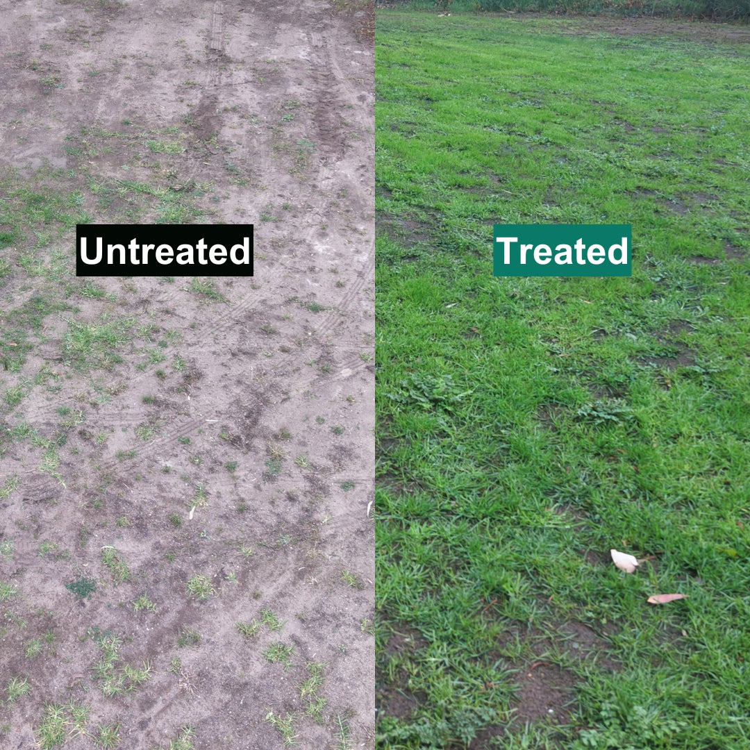 LIQUID BIOCHAR - Carbon Soil Enhancer